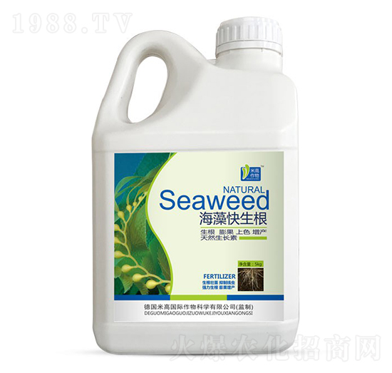 ���������-ʥ�ϝ�(r��n)