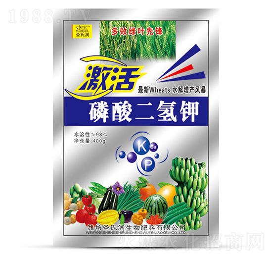 ��������400g-ʥ�ϝ�