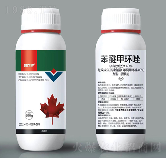 40%���Ѽ׭h(hu��n)��-�ΰ��o(h��)