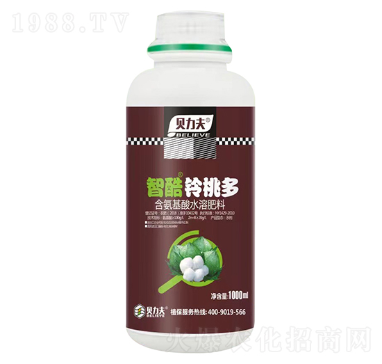 �ǿ���Ҷ�-ؐ����-� ��S