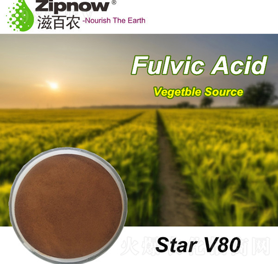 �S����-Star-V80-�̰��r