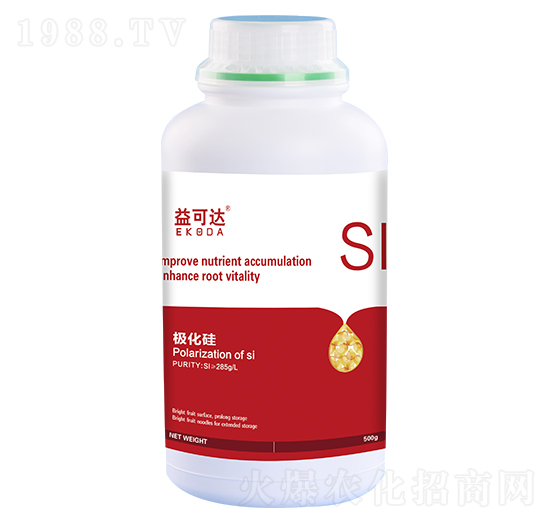 �O����-����_(d��)-�к̄�(d��ng)��