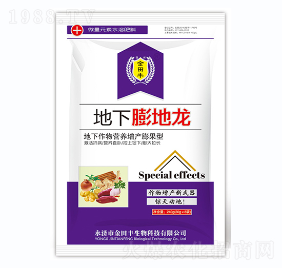 地下膨地龍-金田豐