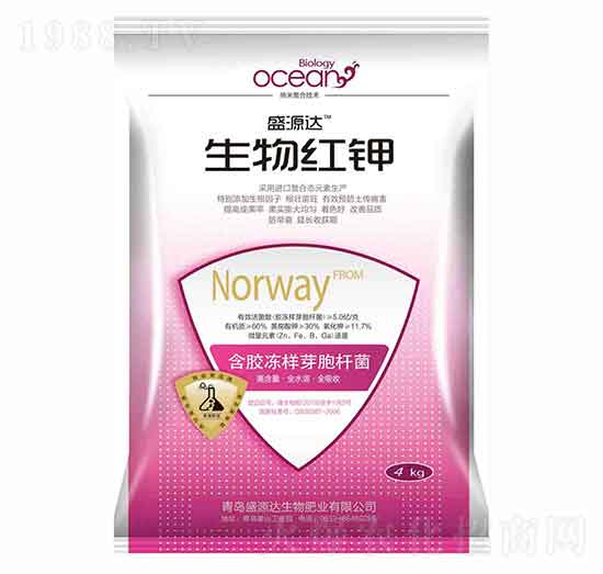 ����t�-��Դʢ�_(d��)