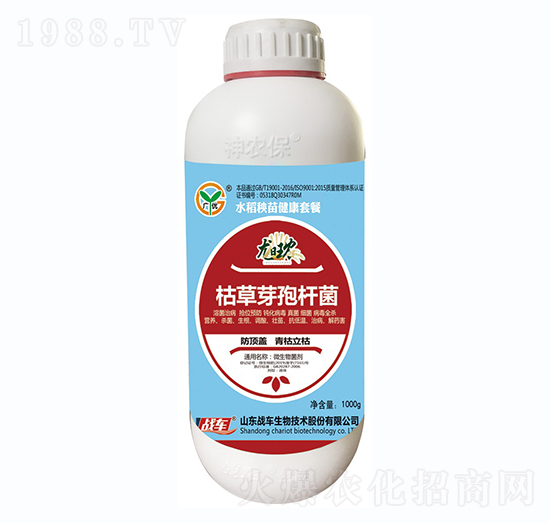 枯草芽孢桿菌-戰(zhàn)車