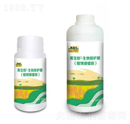 ���ﱣ�o(h��)Ĥ-������-�M(m��n)������