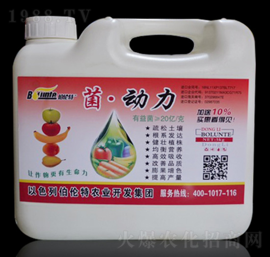 ����(d��ng)��-������