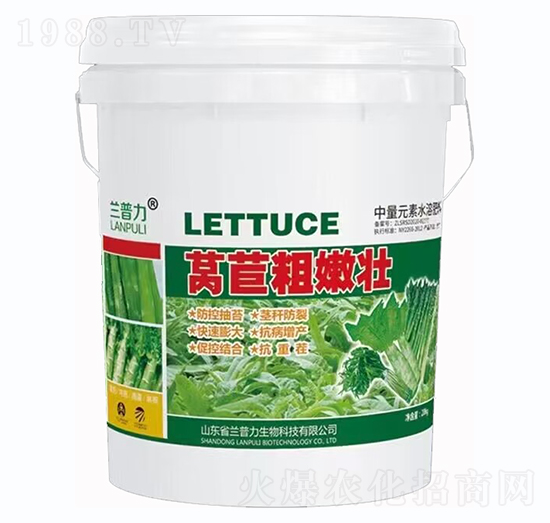 �n�S���ۉ�-�m����