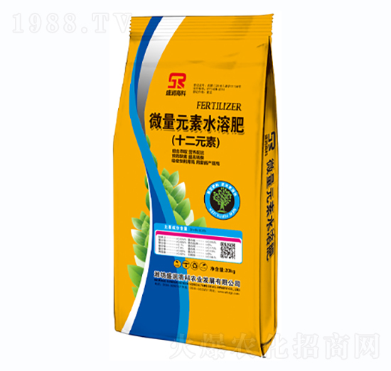 ΢��Ԫ��ˮ�ܷ�-ʮ��Ԫ��-ʢ���߿�