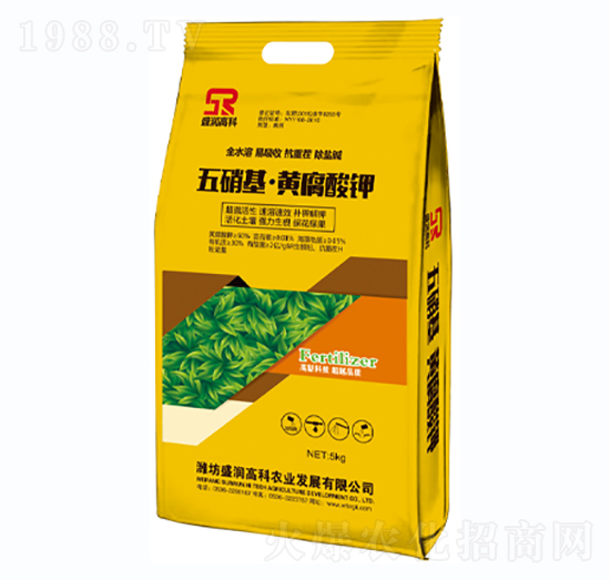 ���������S�����-ʢ��(r��n)�߿�