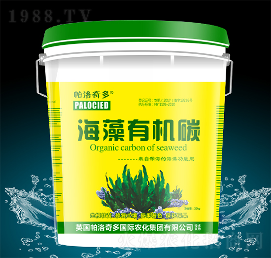 �����ЙC(j��)̼-�������-�̷���