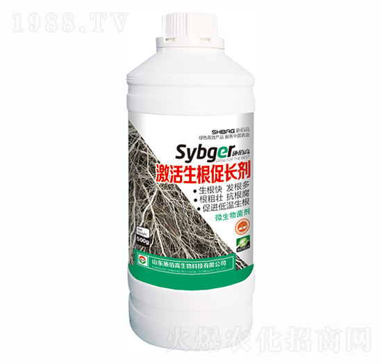 �����������L(zh��ng)��-ʩ�۸�