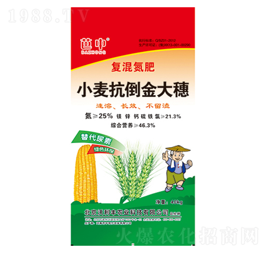 小麥抗倒金大穗-芭中農業(yè)