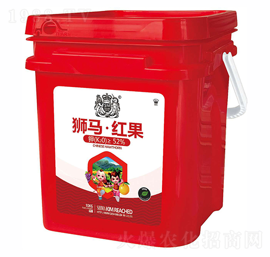 �{�R�t��10kg-�{�R�ʘI(y��)