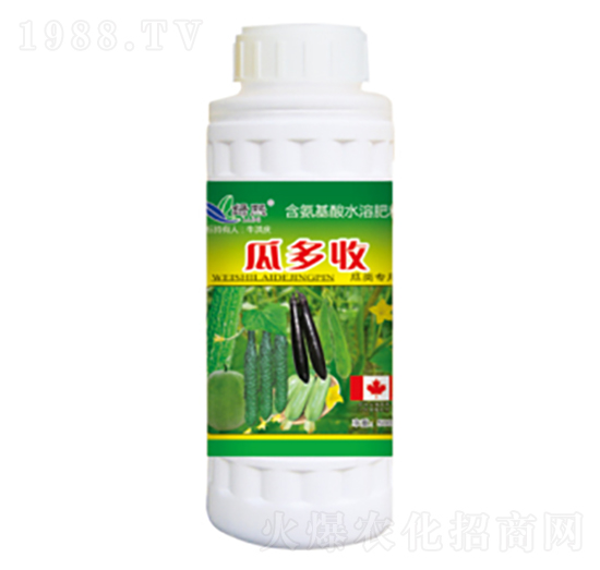 �϶���-�G��-��ʿ�R��