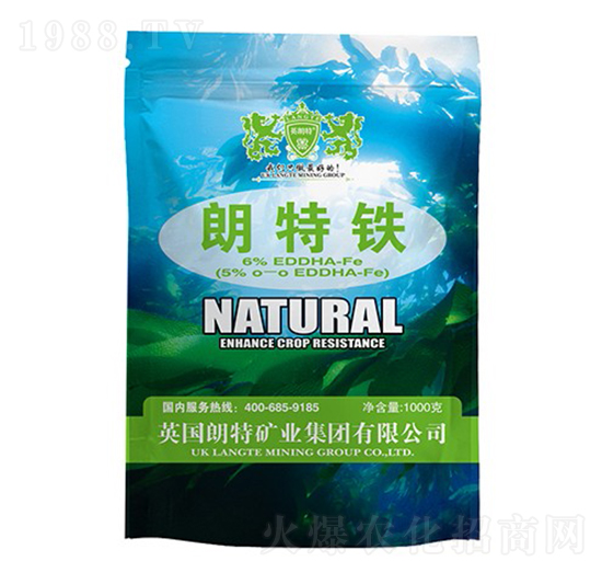 �����F-Ӣ����