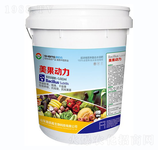 ������(d��ng)��-ʩ�۸�