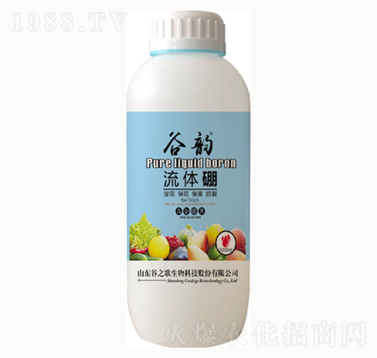 ���w��-���-��֮��