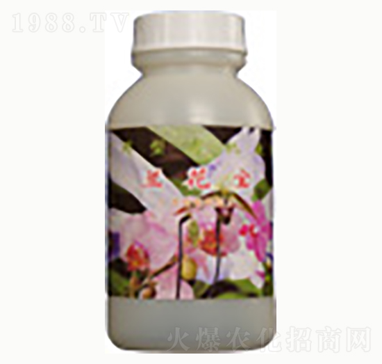 蘭花寶-賜?？? style=