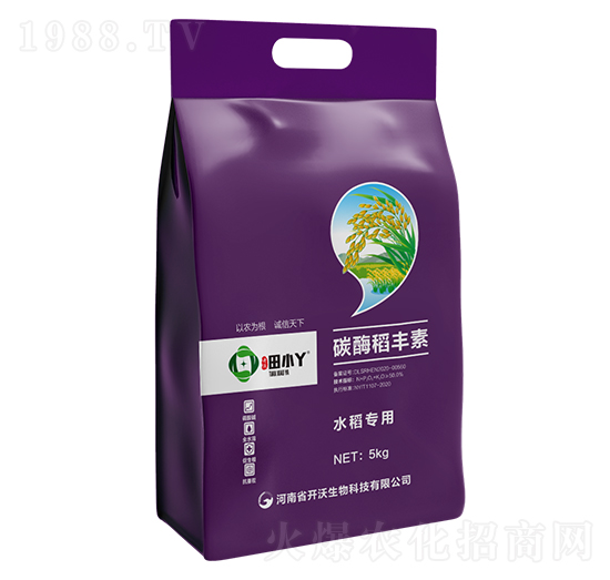 ̼ø���S��-��СѾ-�_(k��i)������