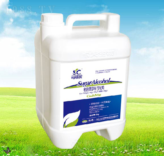 �{(l��n)��ʿ�Ǵ��}�V-����