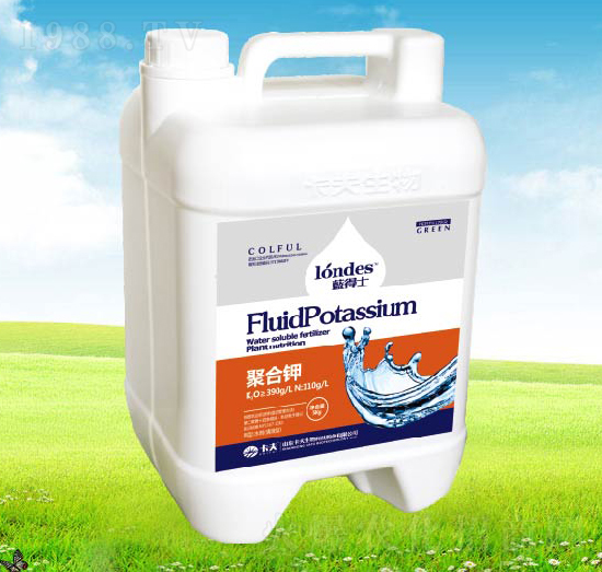 �{(l��n)��ʿ�ۺ��-����