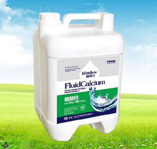 �{(l��n)��ʿ�Ǵ��}-����