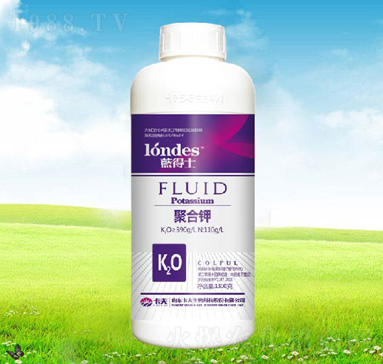 1300���{��ʿ�ۺ��-����