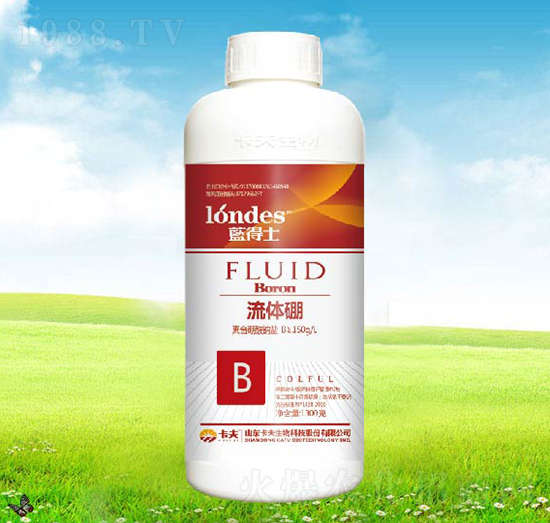 �{��ʿ���w��-����