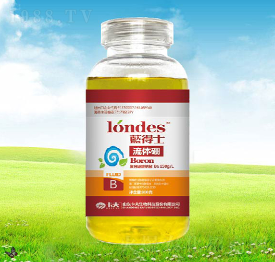 300���{(l��n)��ʿ���w��-����