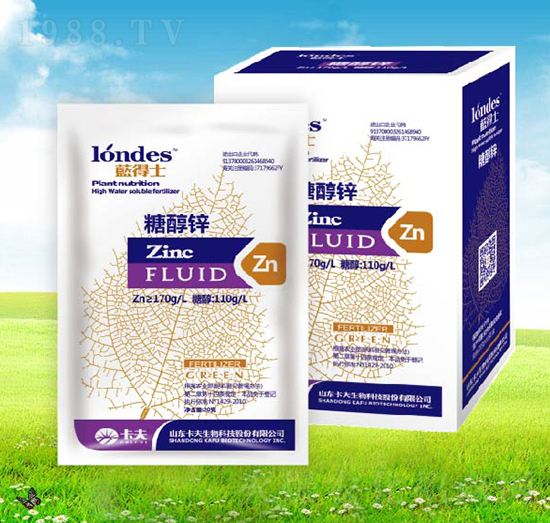 20���{��ʿ�Ǵ��\-����