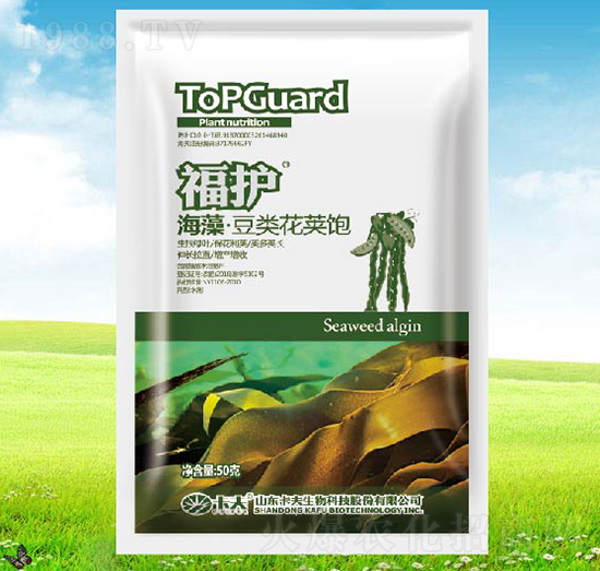 ���嶹��v�-���o(h��)-����