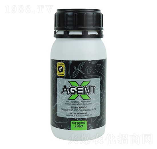 Agent X-�ָ���