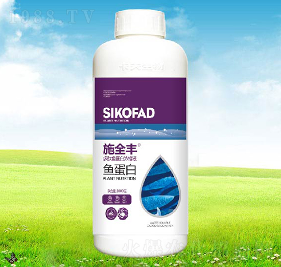 ʩȫ�S�~����-����