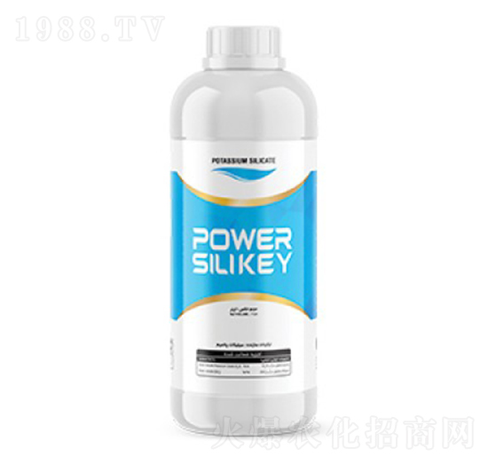 Power Silikey-�ָ���