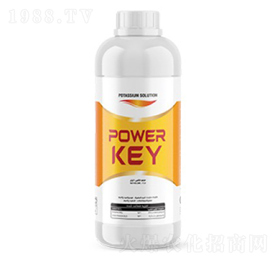 Power Key-�ָ���