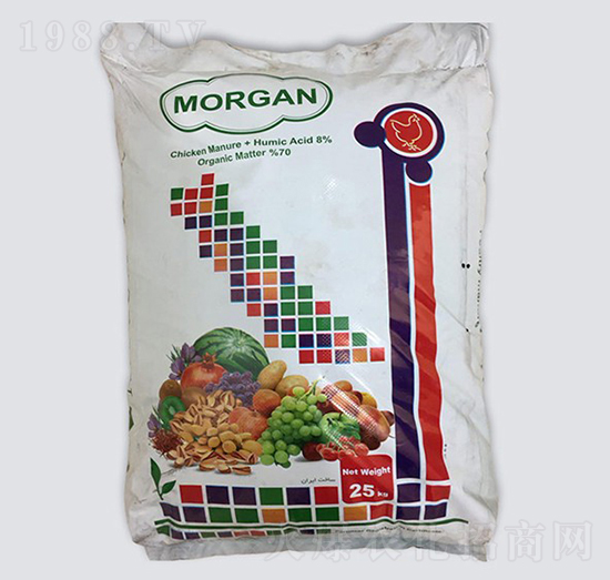 Morgan �w������-�ָ���