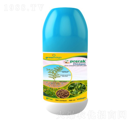 Prerak chickpea-�ָ���