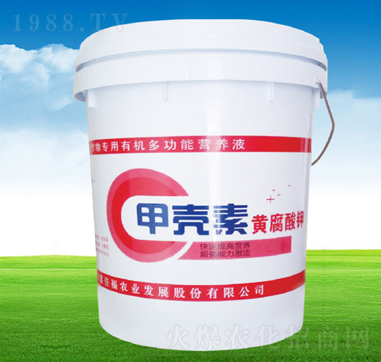 �ך����S�����-�μѸ�