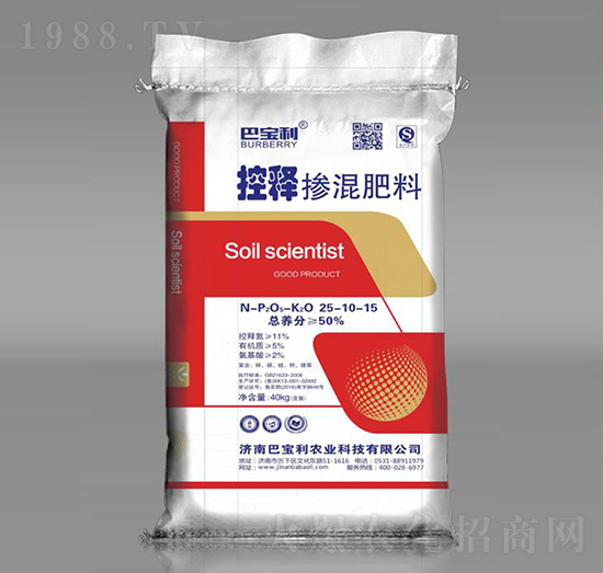 ��ጓ������25-10-15-�͌����r