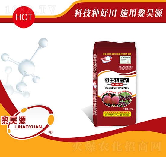 2�|΢�������-���Դ