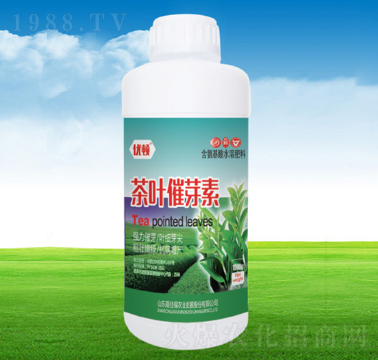 ���~��ѿ��-�μѸ�