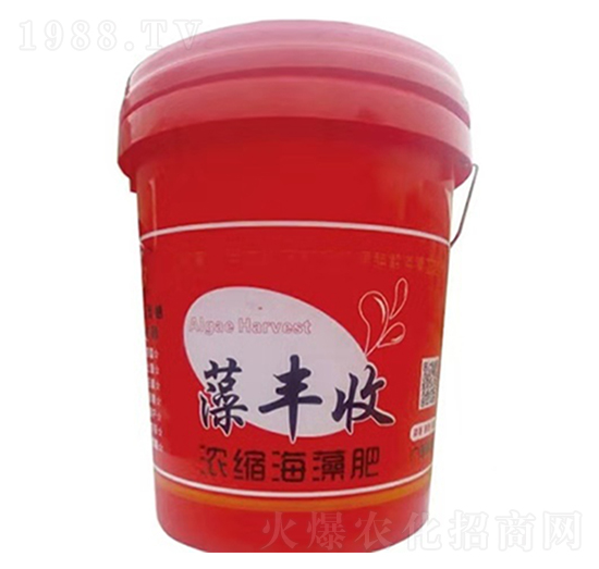 葉菜類專用濃縮海藻肥-藻豐收-民強(qiáng)生物