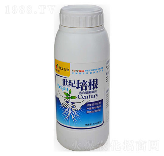 ��ϼ�������-���o���-��������