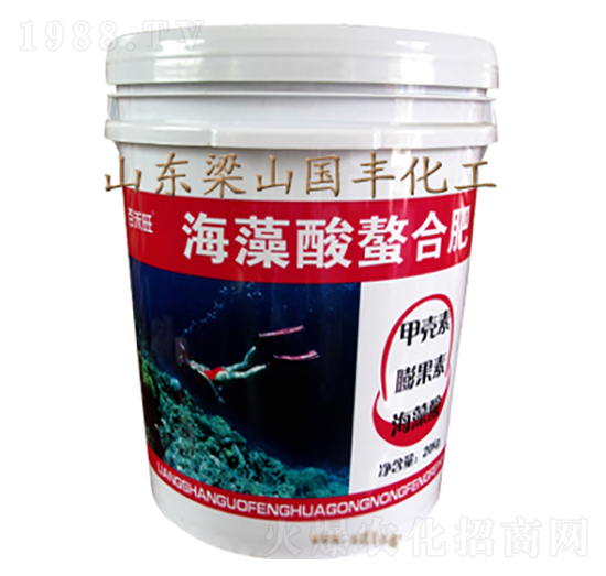 ���������Ϸ�-���S�ʘI(y��)