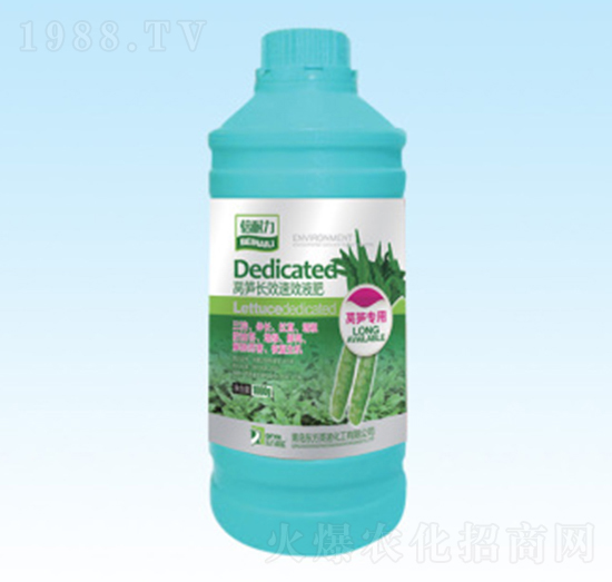 �n�S�LЧҺ��-�|��Ӣ�Z