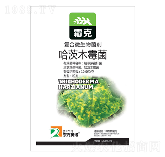 ����ľù��-˪��-�|��Ӣ�Z