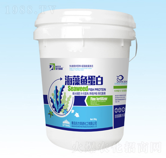 �����~(y��)����-�|��Ӣ�Z