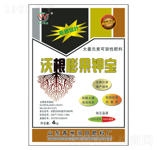 �ָ����⛌�-�������