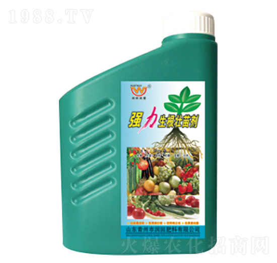 �����������焩-�������